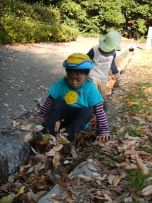 DSCN0330.JPG