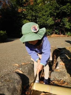 DSCN0333.JPG