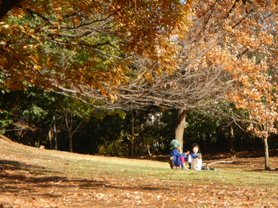 DSCN0368.JPG