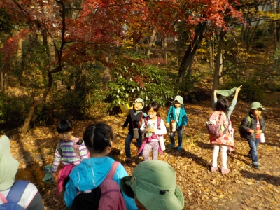 DSCN0461.JPG