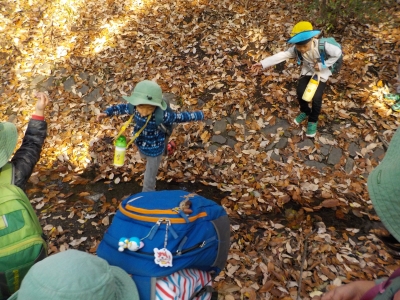 DSCN0470.JPG