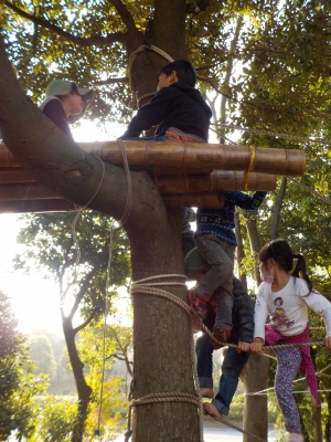 DSCN0603.JPG