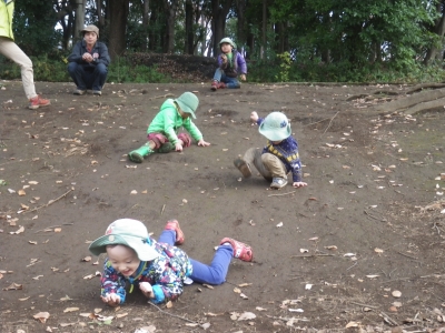 IMGP5891.JPG