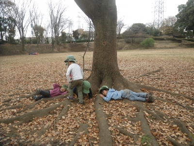 IMGP5914.JPG