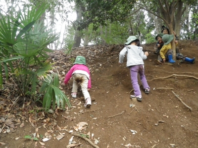 IMGP8564.JPG