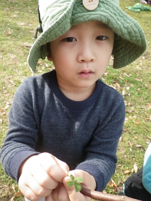 IMGP8639.JPG