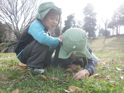 IMGP8642.JPG