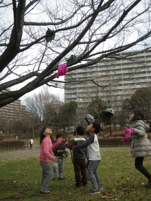 IMGP8652.JPG