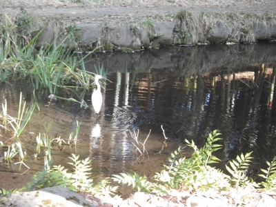 IMGP6236.JPG