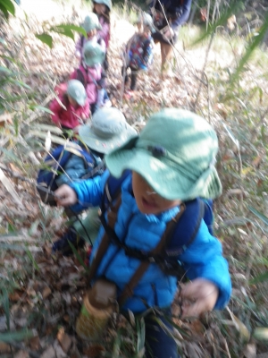 IMGP6244.JPG