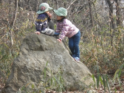 IMGP6278.JPG