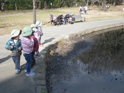 IMGP6330.JPG