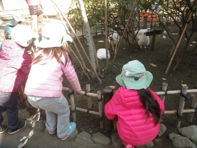 IMGP6336.JPG