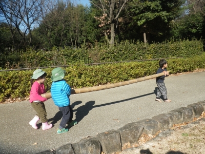 IMGP6582.JPG