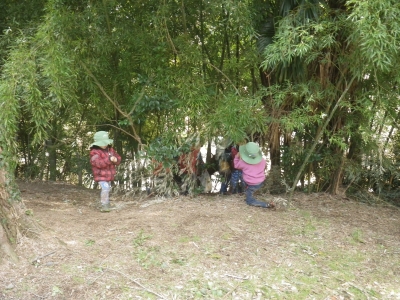 IMGP7609.JPG