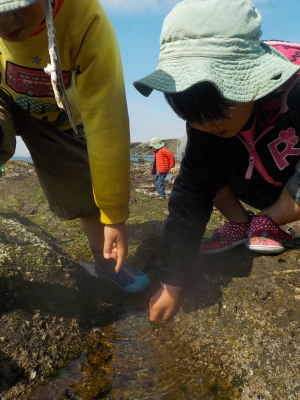 DSCN2296.JPG