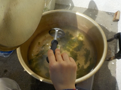 DSCN2308.JPG