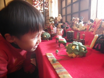 IMGP7772.JPG