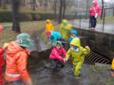 DSCN2487.JPG