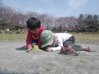 IMGP8539.JPG
