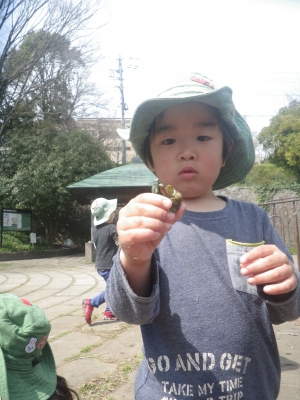 IMGP8556.JPG
