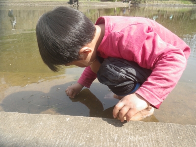 IMGP8561.JPG