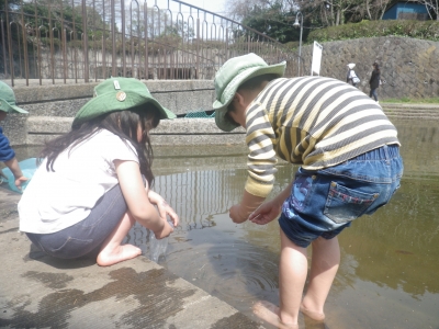 IMGP8562.JPG