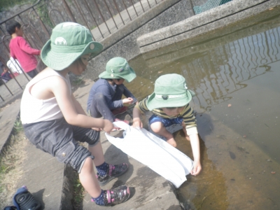 IMGP8568.JPG