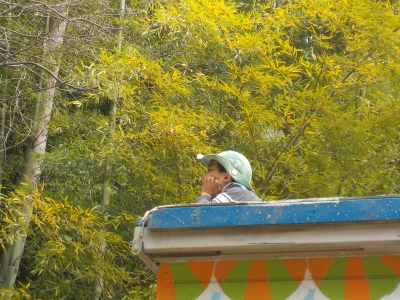 DSCN3610.JPG