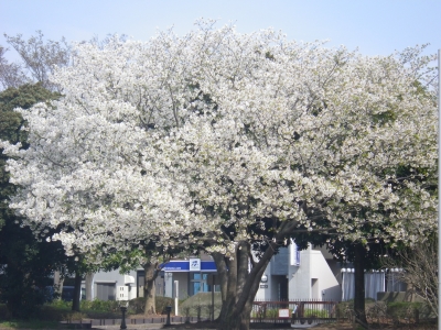 IMGP8596.JPG