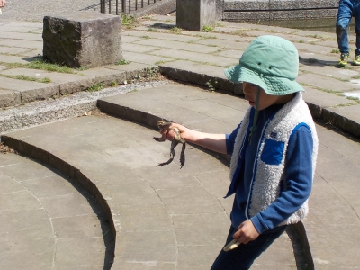 DSCN3696.JPG