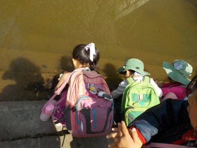 DSCN3681.JPG