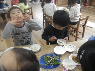 IMGP8620.JPG