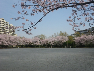 IMGP8716.JPG