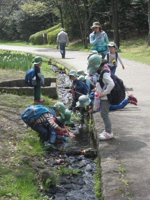 IMGP8722.JPG