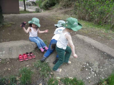 IMGP8745.JPG