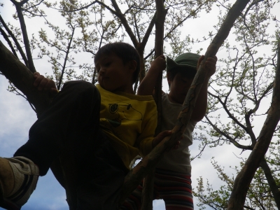 IMGP8768.JPG