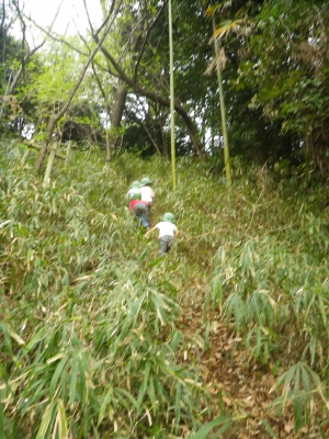 IMGP8771.JPG