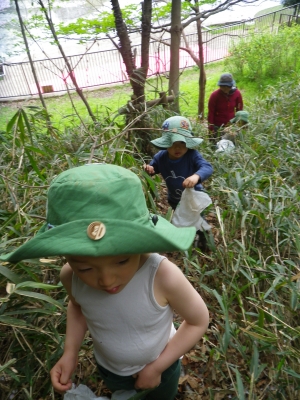 IMGP8773.JPG
