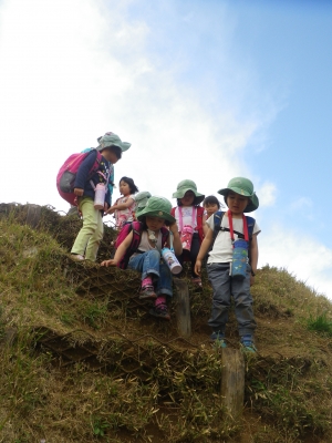 IMGP8775.JPG