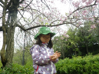 IMGP0702.JPG