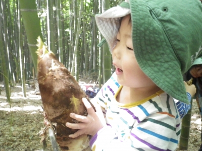 IMGP9126.JPG