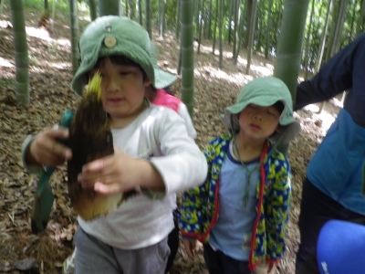 IMGP0983.JPG