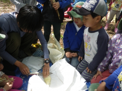 IMGP1003.JPG