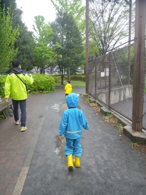 IMGP9385.JPG