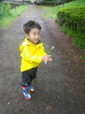 IMGP9386.JPG