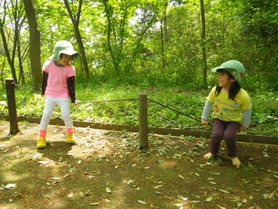IMGP1182.JPG