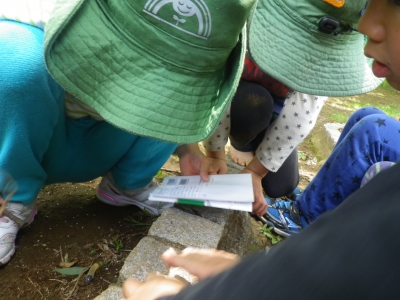 IMGP1187.JPG