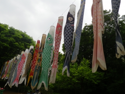 IMGP1209.JPG