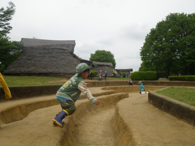 IMGP1268.JPG